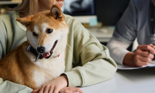 A woman and her dog are seated together at a desk