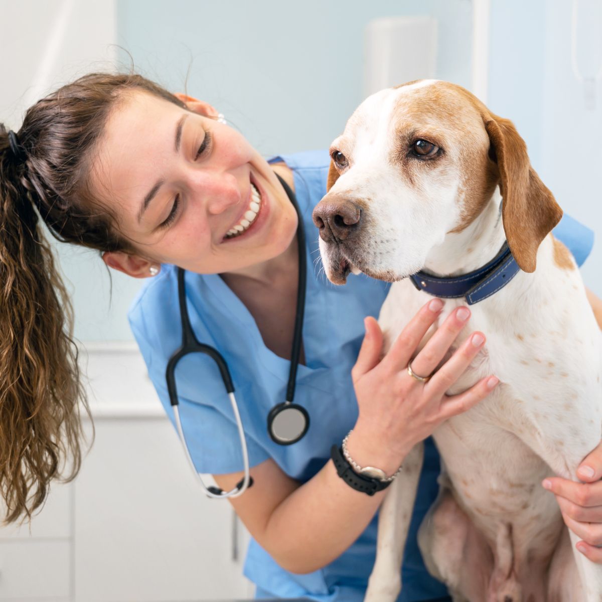 a veterinary nurse smiling while playing with a dog a veterinary nurse smiling while playing with a dog