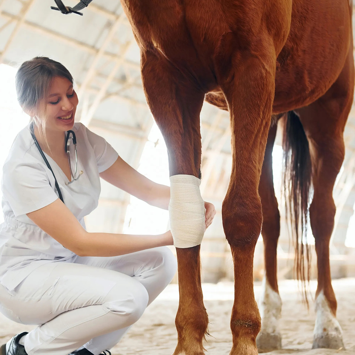 a woman wearing white caresses a horse
