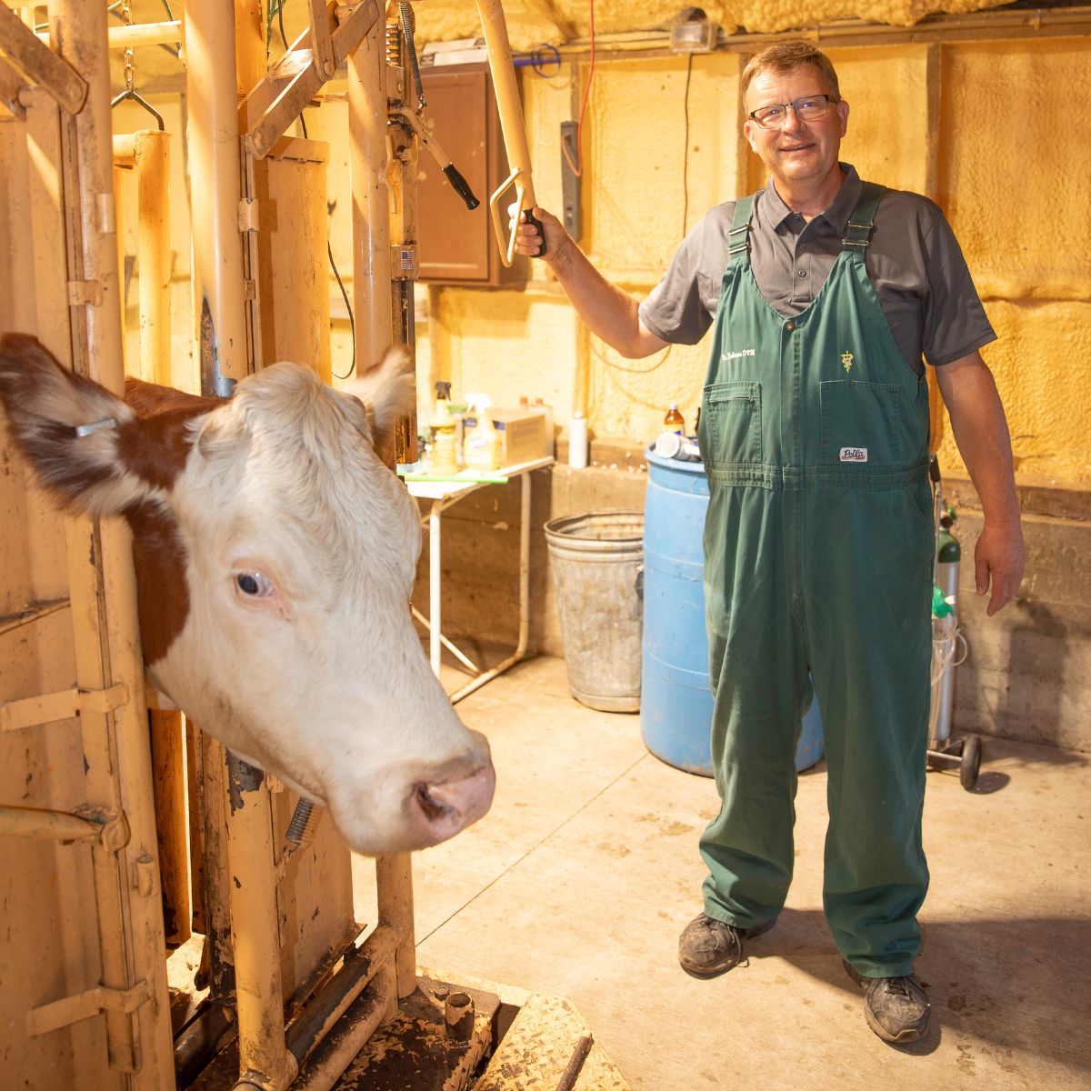 a man standing next to a cow in a barn