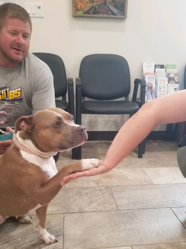 a man is petting a dog in a waiting room